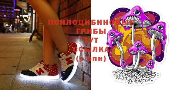 дмт Кострома